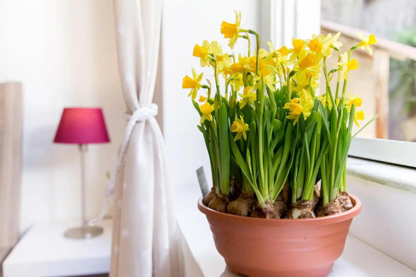 Perla - Cozy Apartment In Piazza Navona Ρώμη Εξωτερικό φωτογραφία